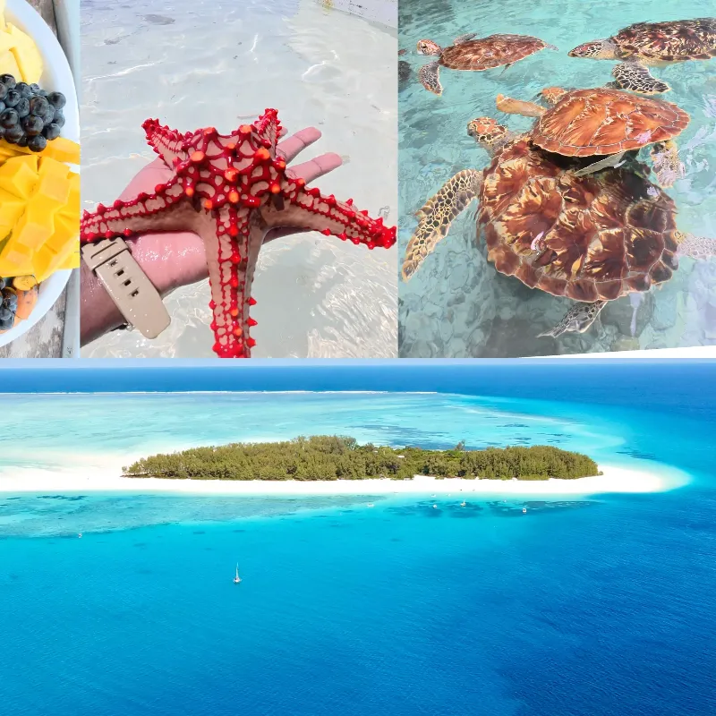 Private Mnemba Snorkeling Trip with Salaam Cave