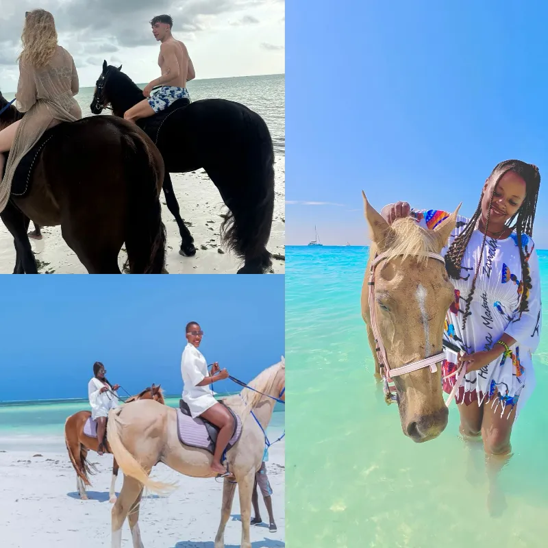 Horse Riding Beach Ride 1 Hour
