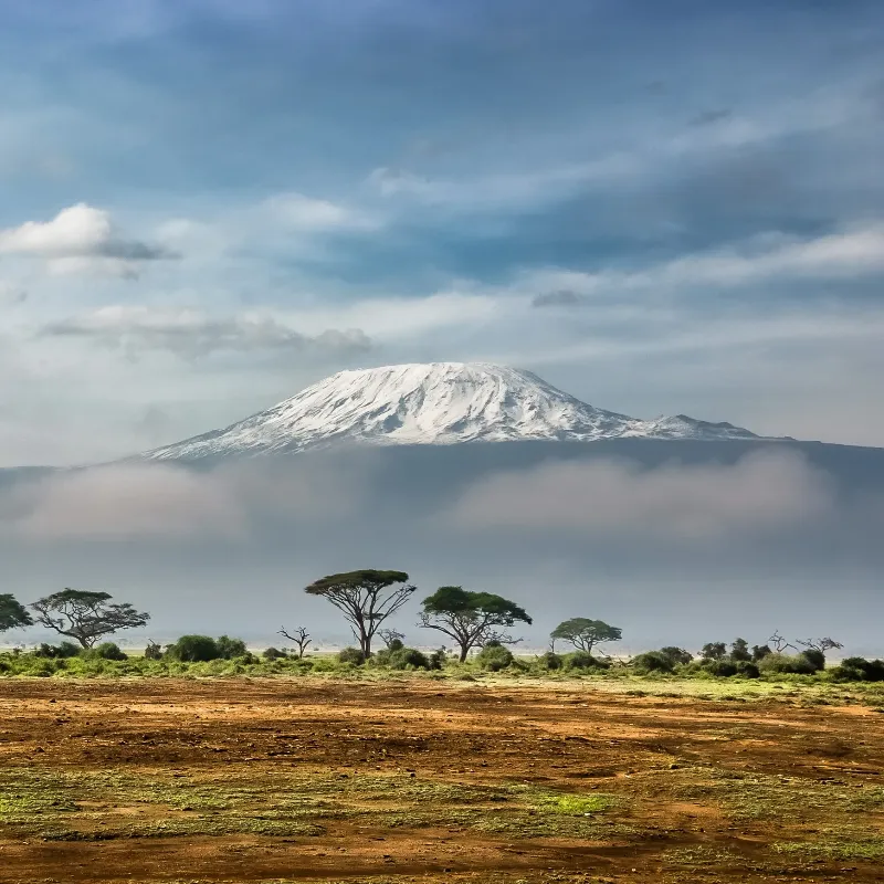 Kilimanjaro